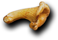 Image not load failed. please refresh.