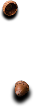 Image not load failed. please refresh.