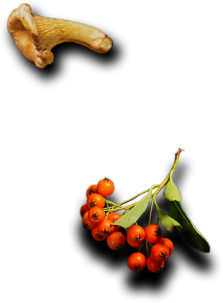 Image not load failed. please refresh.